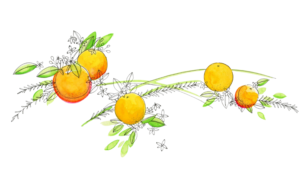 The Invisible Impact of Ingredients