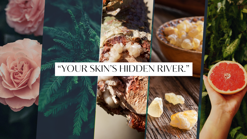 The Quiet Current That Brings Your Skin to Life